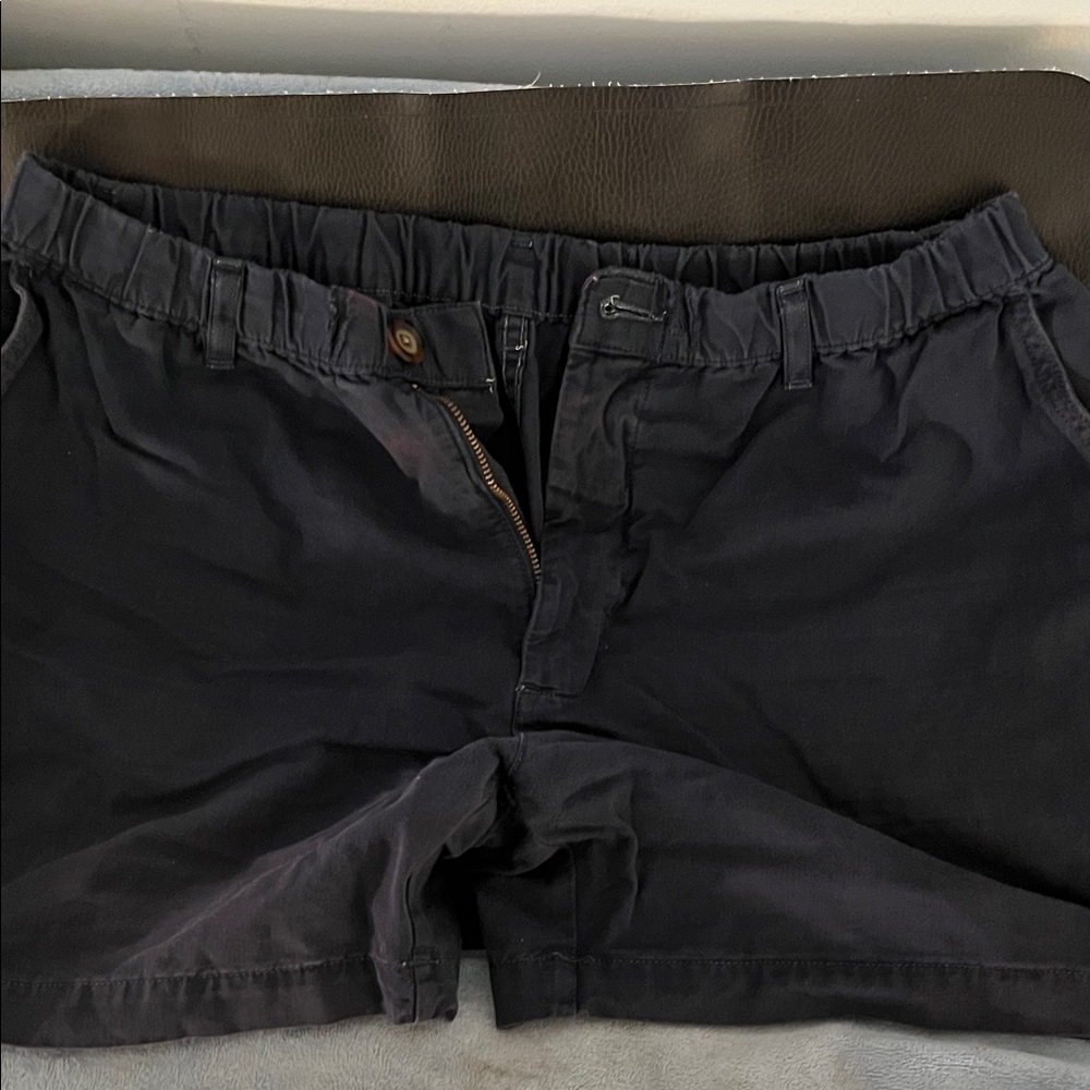 Chubbies Dark Blue Men's Flat Front Shorts